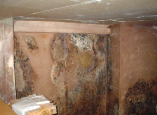 identifying and treating penetrating damp in manchester