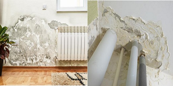 spotting the signs of rising damp in your property