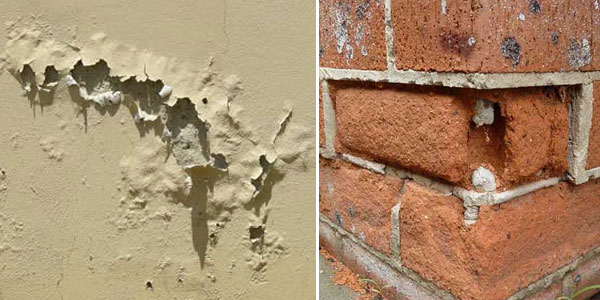 spot the signs of rising damp in your home