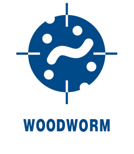 woodworm icon