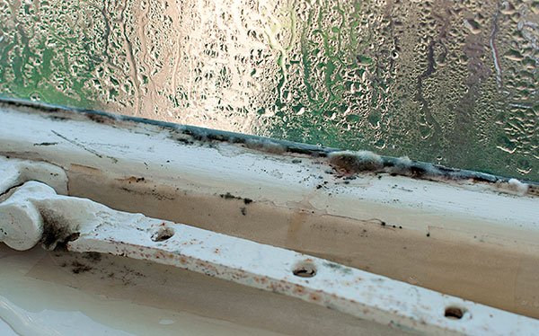 condensation on windows