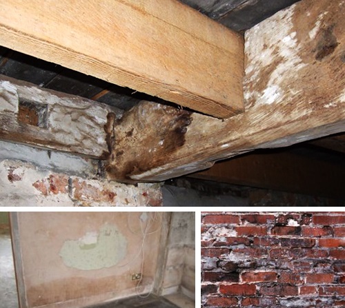 dry rot treatments in manchester