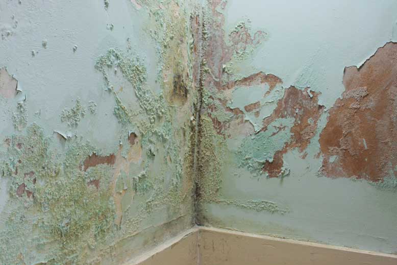 professional treatments for rising damp in manchester