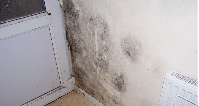 black spots of mould are typical signs of condensation