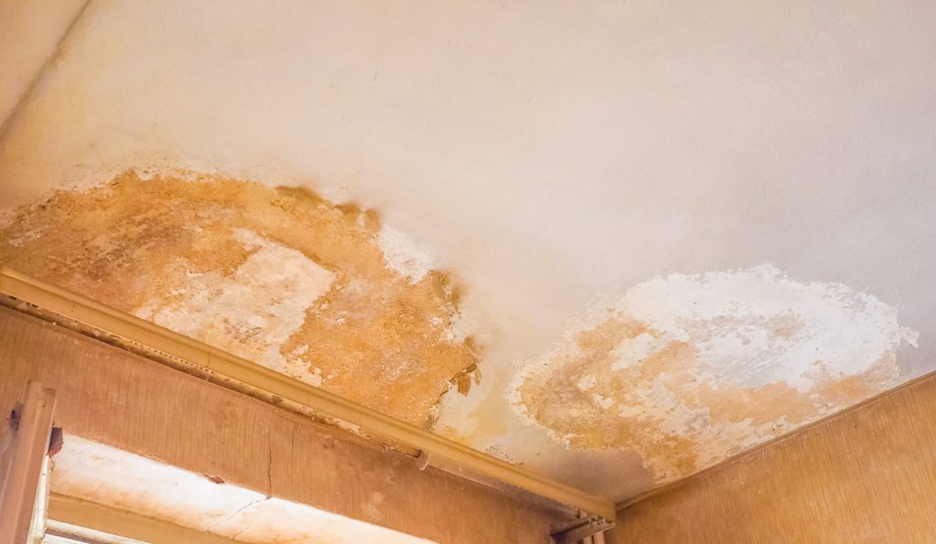 identifying penetrating damp